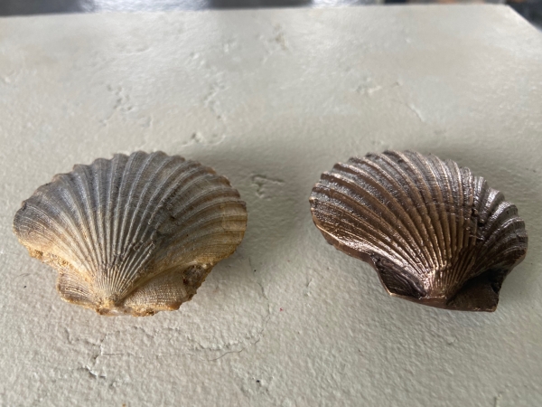 Muscheln als Gestaltungselement auf Urnenwandplatten des patentierten Urnenwandsystems